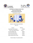 APA INVESTIGACION EN PSICOLOGIA