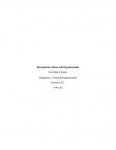 Diagnostico y desarrollo organizacional