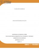 VALORACION DE EMPRESAS