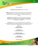 Factores de riesgos:mortalidad materna y perinatal