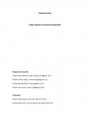 ANALISIS DE ESTADOS FINANCIEROS La Compañía Cervecerías Unidas S.A