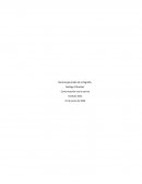 Comunicación oral y escrita