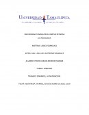 DINAMICA, LA INUNDACION