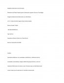 Sociedad Multiétnica