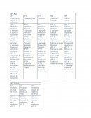 Fase_12_207115_16 Supply Chain soporte