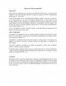 ¿Qué es leer? ¿Qué es comprender?