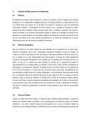 Análisis del Macroentorno del Mercado