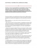 Caso Práctico 1: Variables de las condiciones de trabajo