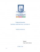 DESARROLLO DE PRESUPUESTOS FINANZAS CORPORATIVAS