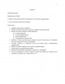 Actividad RSE. Empresa Google