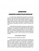 Agresividad. Enfoque teórico desde una perspectiva psicológica