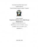 Trabajo monográfico Organismos indicadores de la calidad del agua (Bioindicadores)