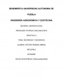 SEVERIDAD Y INCIDENCIA