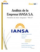 Analisis empresa Iansa S.A