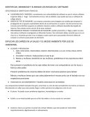 IDENTIFICAR, MINIMIZAR Y ELIMINAR LOS RIEGOS DEL SOFTWARE