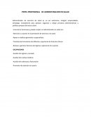 PERFIL PROFESIONAL DE ADMINISTRACION EN SALUD
