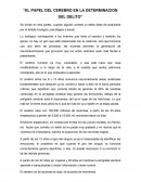 EL PAPEL DEL CEREBRO EN LA DETERMINACION DEL DELITO