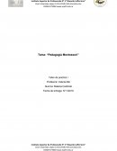 Pedagogía Montessori