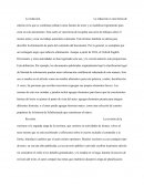 Redaccion. Revisión