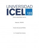 Cortes Internacionales