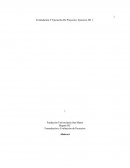 Formulación Y Ejecución De Proyectos. Ejercicio