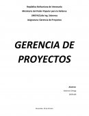 GERENCIA DE PROYECTOS