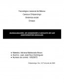 Globalización , su dimención e impacto en los componentes sociales