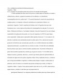 COPRODUCCIONES INTERNACIONALES Argentina – Italia