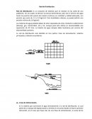 RED DE DISTRIBUCIÓN
