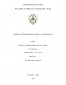ANÁLISIS DE SENTENCIA DE CASACIÓN