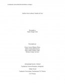 Análisis Socio-cultural. Estudio de Caso