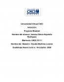 Inducción Proyecto Modular