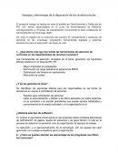 Ventajas y desventajas de la depuración de los revolticurriculos