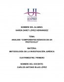 ANALISIS “COMPONENTES BÁSICOS DE UN PROTOCOLO”