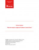 Plan de mejora a Agencia Pullman Cuevas Hnos