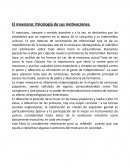 El mexicano: Psicología de sus motivaciones