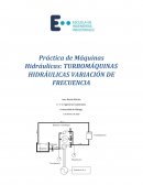 Práctica de Máquinas Hidráulicas: TURBOMÁQUINAS HIDRÁULICAS VARIACIÓN DE FRECUENCIA