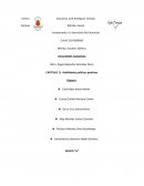 CAPITULO 11. Habilidades políticas positivas