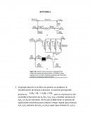 Ejercicios termo