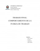 TRABAJO FINAL: COMPORTAMIENTO DE LA FUERZA DE TRABAJO