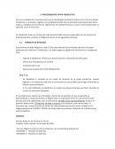 PROCEDIMIENTO SEGUIMIENTO ETAPA PRODUCTIVA