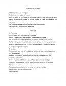 APUNTES DERECHO MUNICIPAL