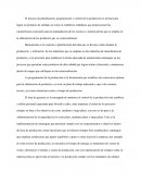 Proceso de Planificacion,programación y control de la producción