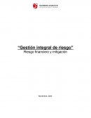 Gestión integral de riesgo. Riesgo financiero y mitigación
