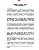 PLANTA DE ACERO EL SOLIDO