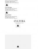 MANUAL DE ORGANIZACIÓN DE EX TERESA ARTE ACTUAL