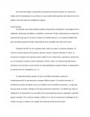 La importancia del factor humano en el puesto de trabajo de un fisioterapeuta en una clínica