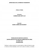 IMPORTANCIA DE LAS REDES DE TRANSPORTE