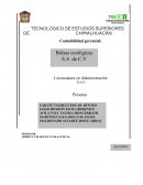 Caso empresa bolsas ecológicas S.A de C.V