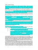 DAÑOS A LA INTEGRIDAD PERSONAL